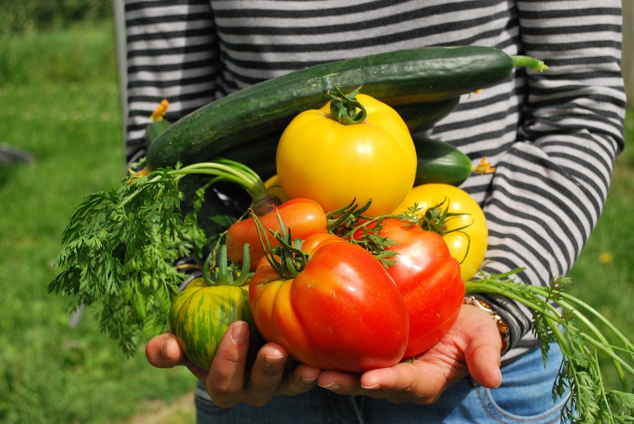 Productos Naturales y Ecológicos - Quinta El Ronzal